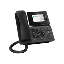 Gigaset P810B IP PRO - Corded phone
